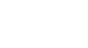 Betwild-logo